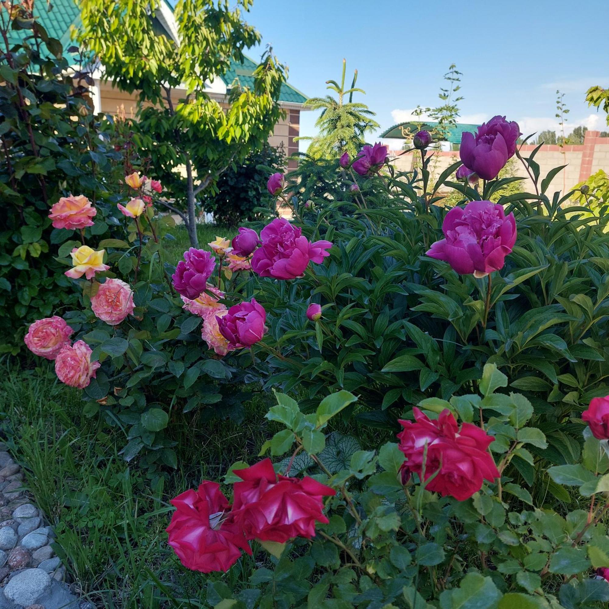 Svetlana Guest House Bokonbayevo Екстериор снимка