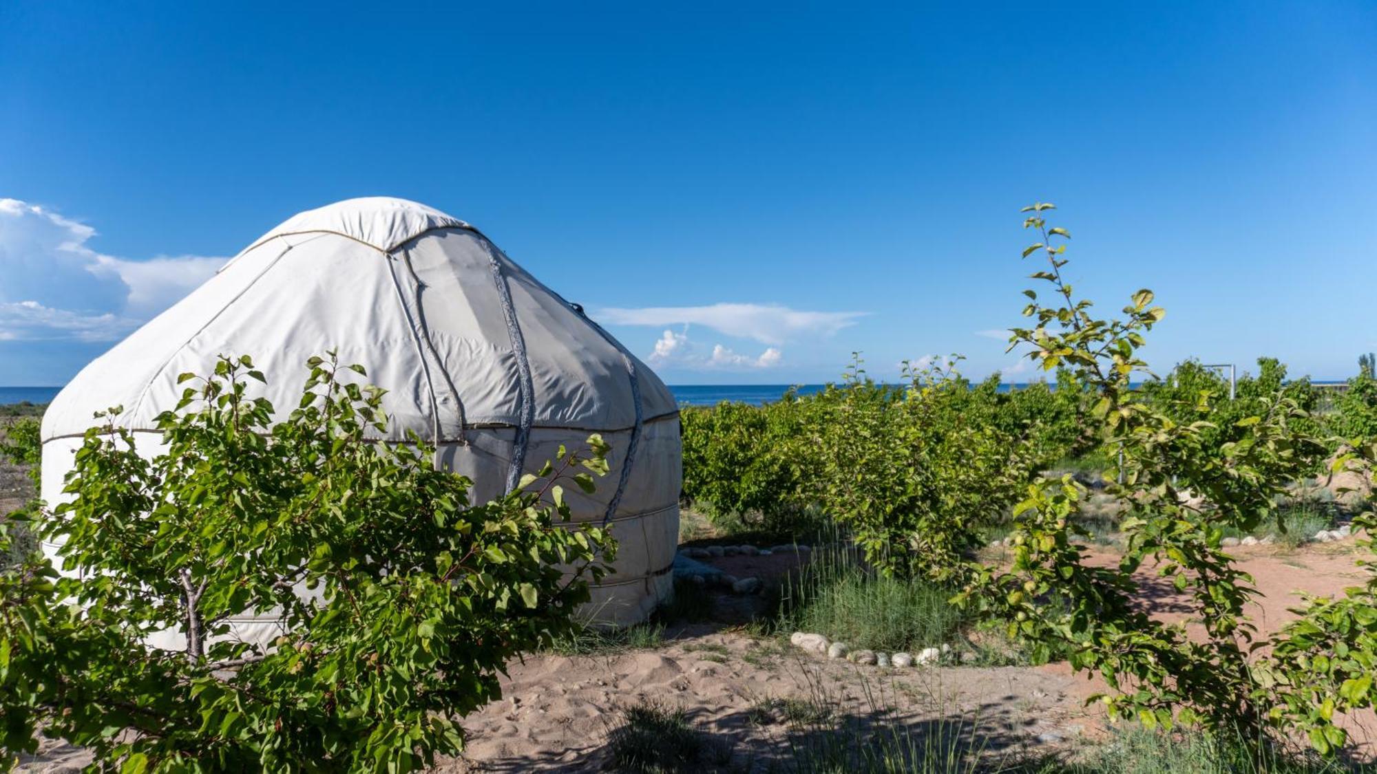 Svetlana Guest House Bokonbayevo Екстериор снимка