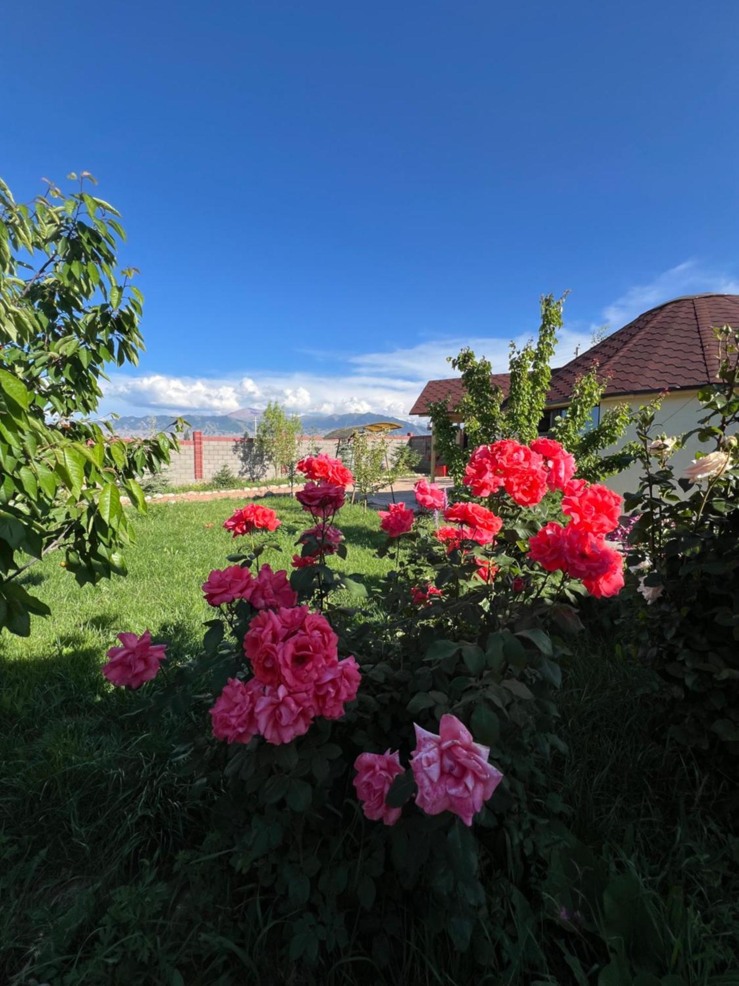 Svetlana Guest House Bokonbayevo Екстериор снимка